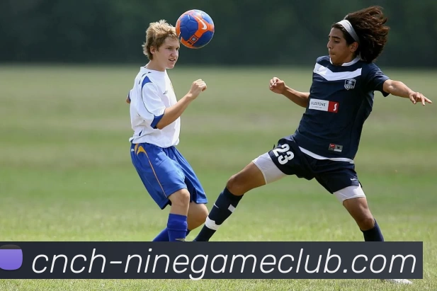 九游体育官方网站平台生态图